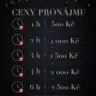 Pronájem studia - 1h