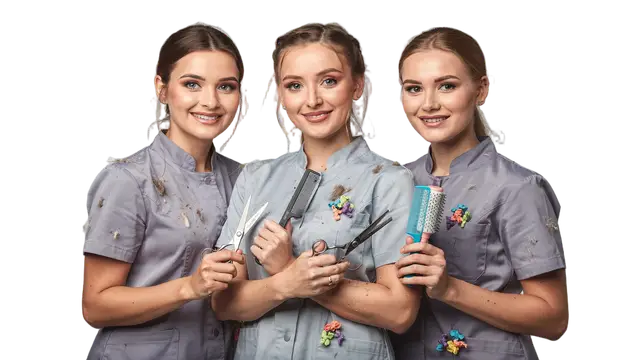 Groomer w Gdańsku