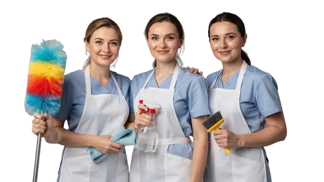 Клінінг в Ужгороді