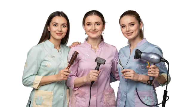 Грумінг у Харкові