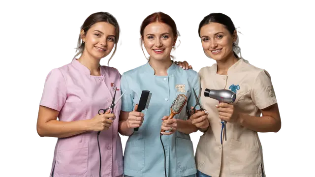 Грумінг у Житомирі