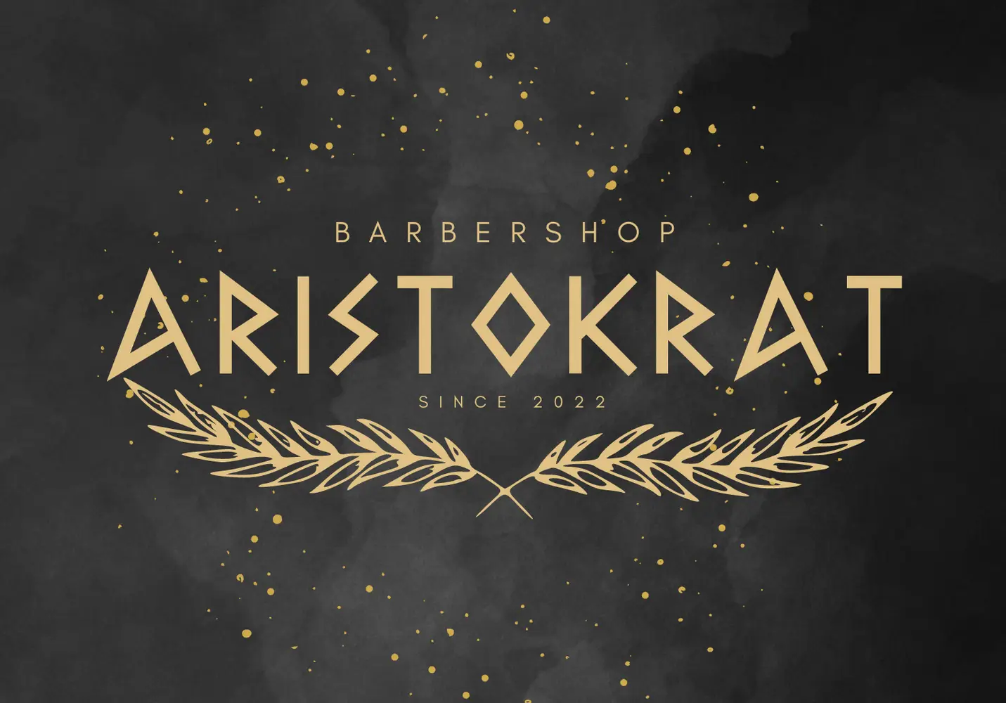 ARISTOKRAT photo 1