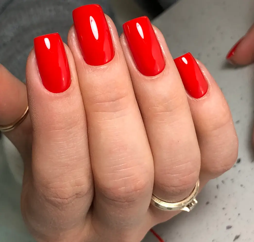 LBeauty Studio photo 163