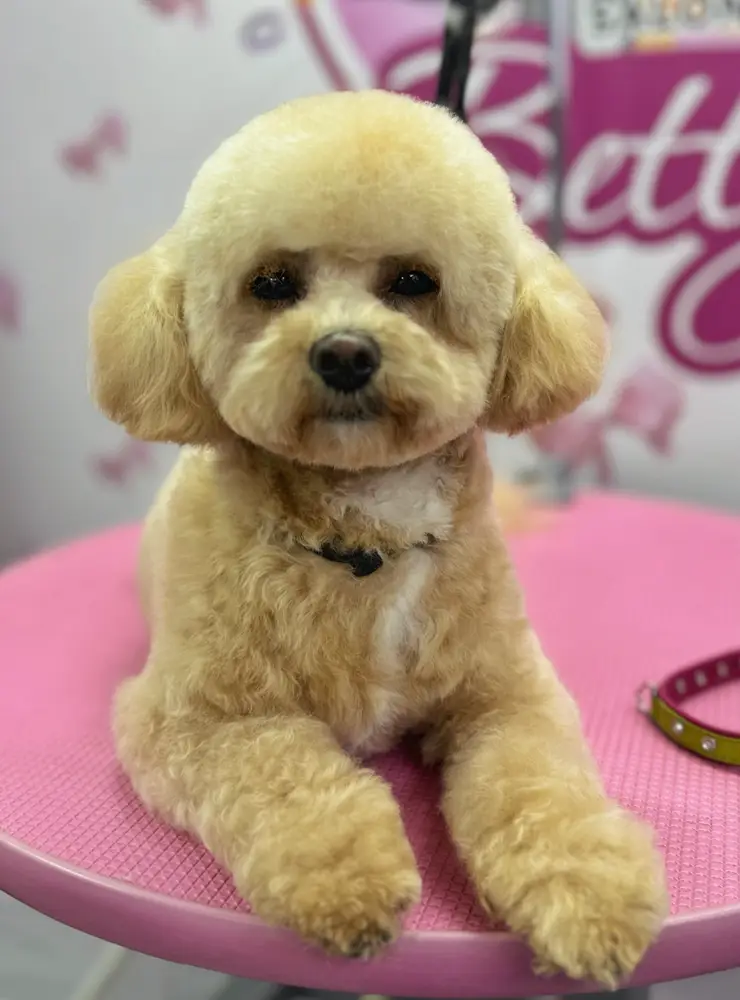 Betty photo 147