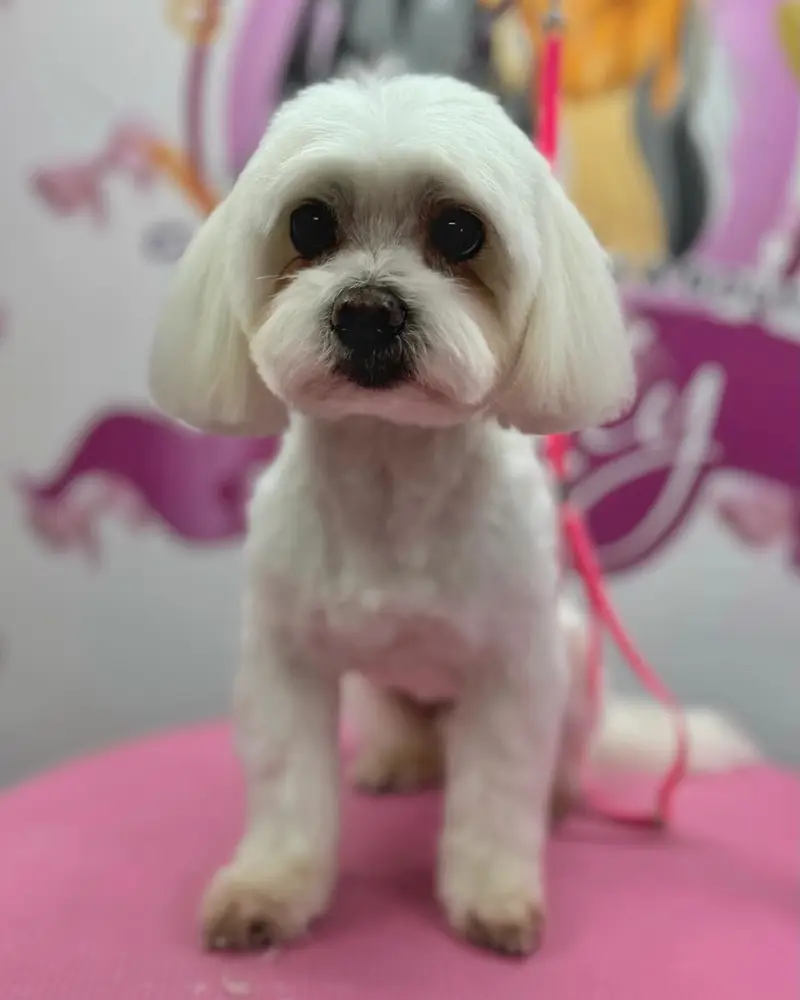 Betty photo 133