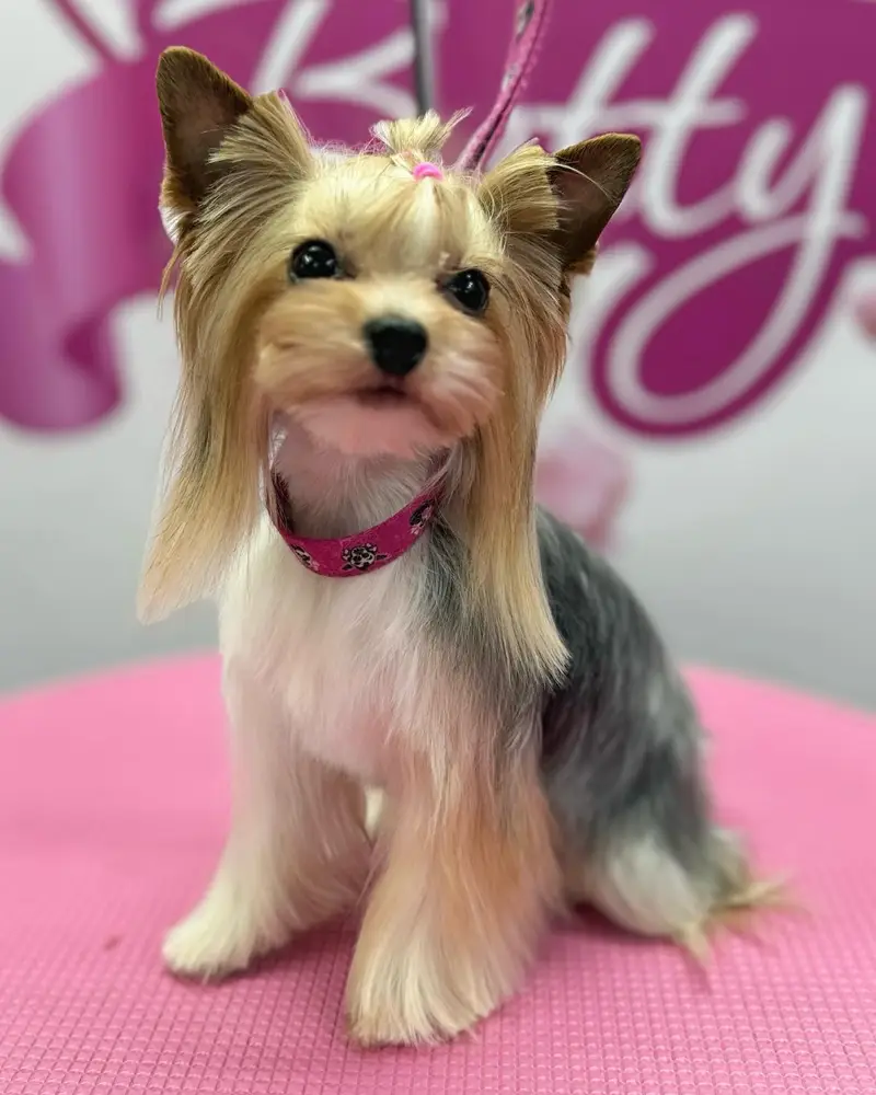 Betty photo 134