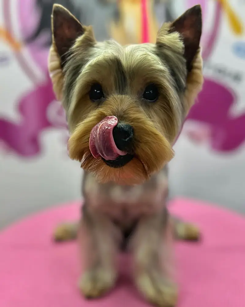 Betty photo 135
