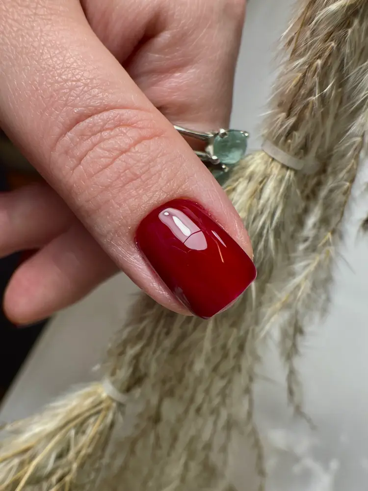 Nailmaster_anosova photo 6