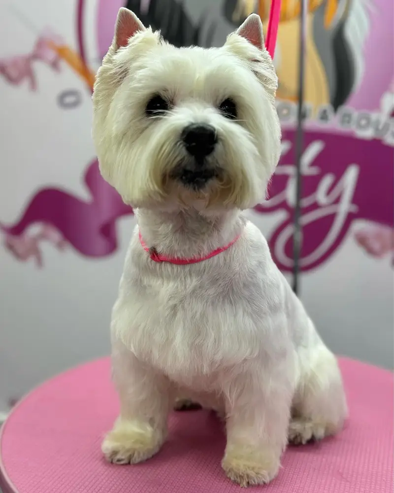 Betty photo 151