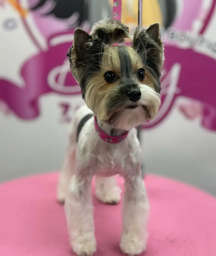 Betty photo 153