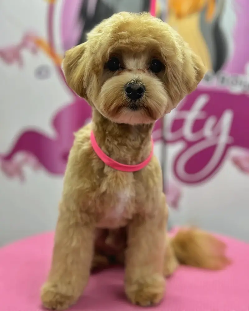 Betty photo 154