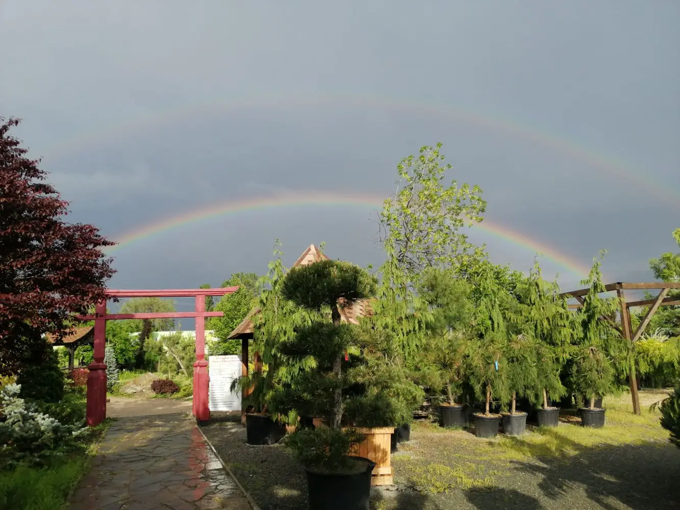 Заміський комплекс "Сакура" photo 3