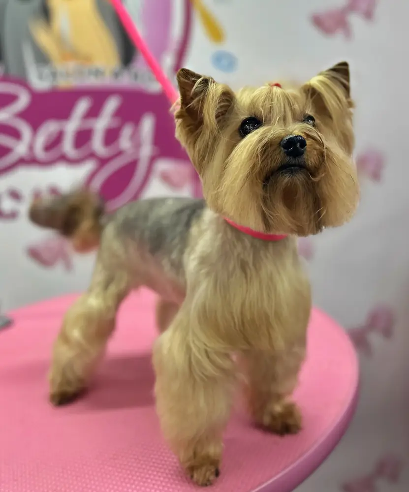 Betty photo 99