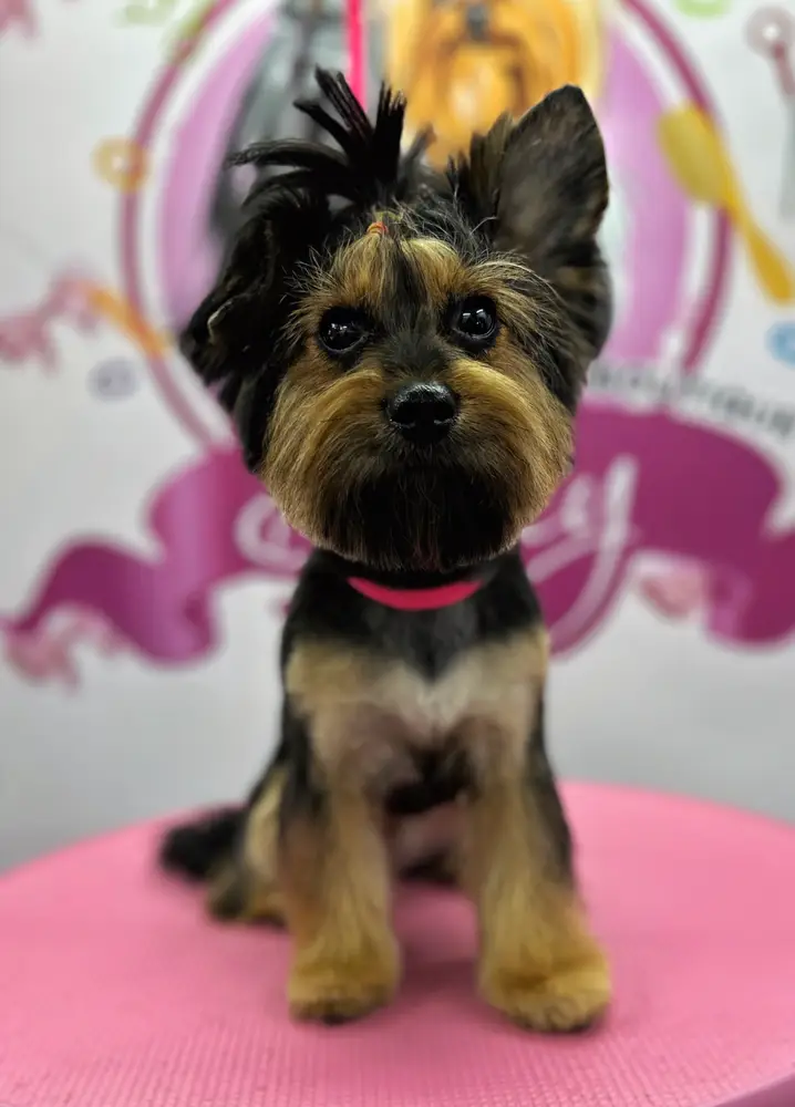 Betty photo 100