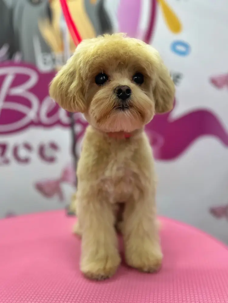 Betty photo 101