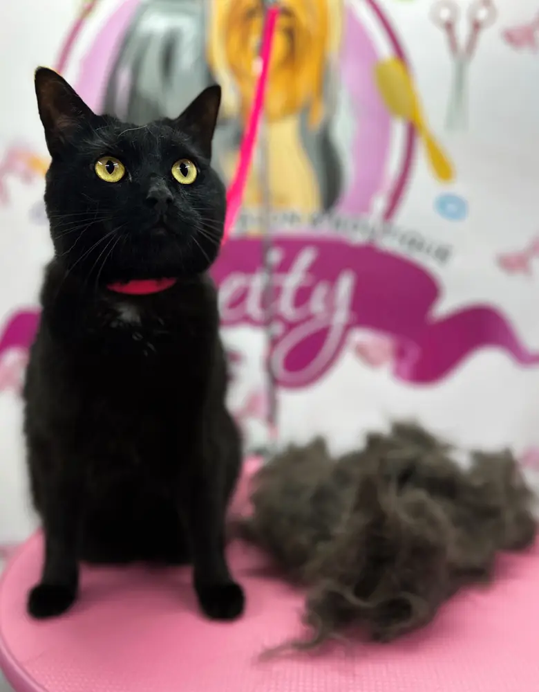 Betty photo 103