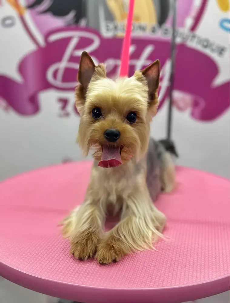 Betty photo 104
