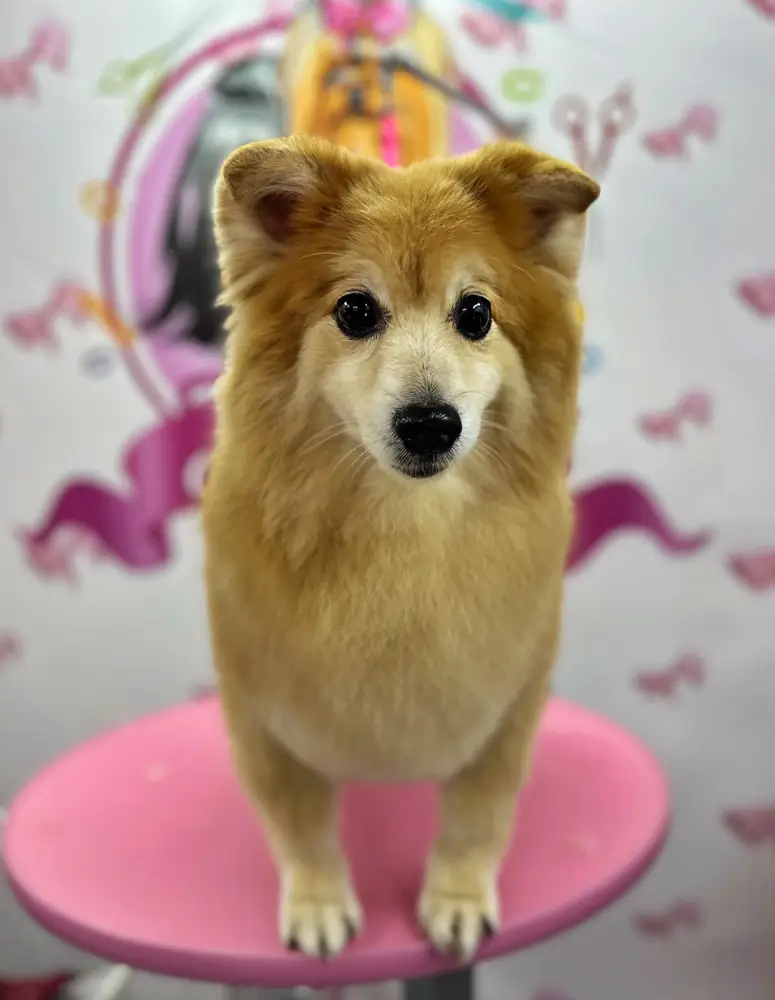Betty photo 105