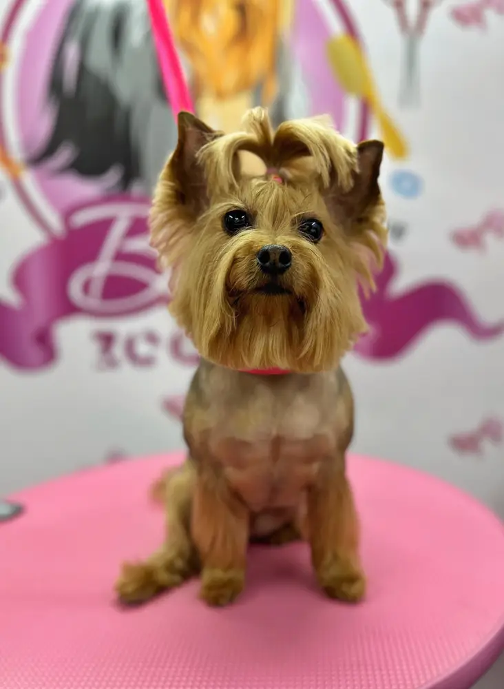 Betty photo 106