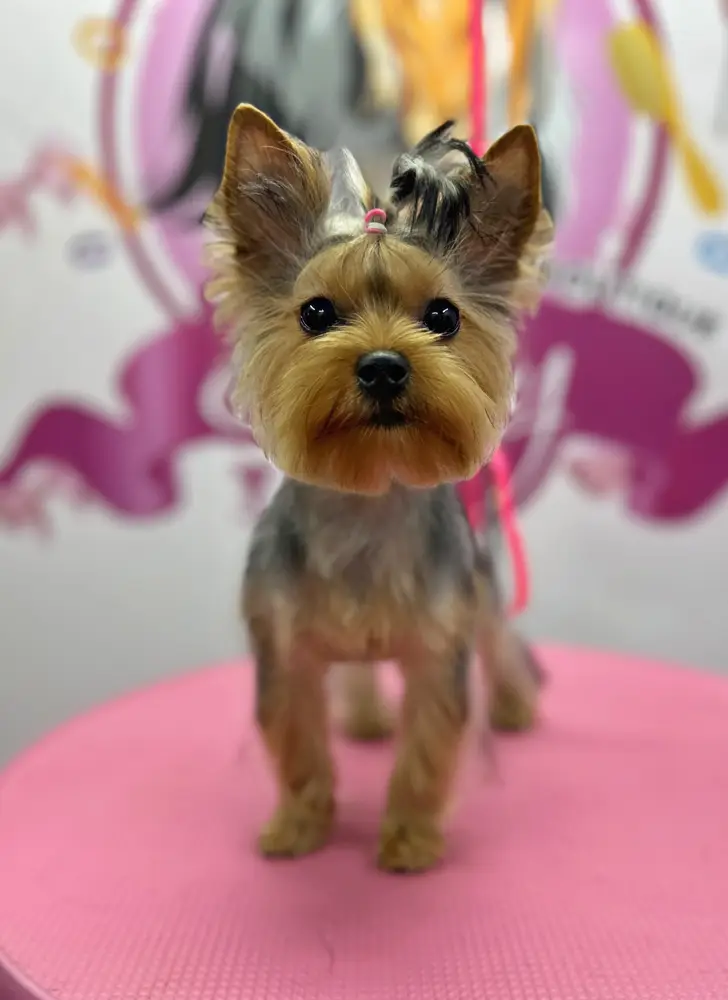 Betty photo 107