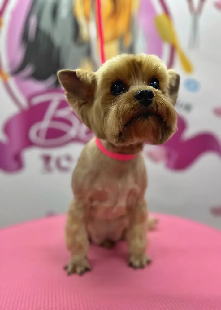 Betty photo 108