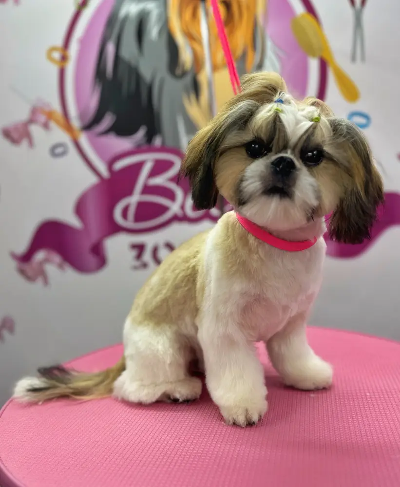 Betty photo 110