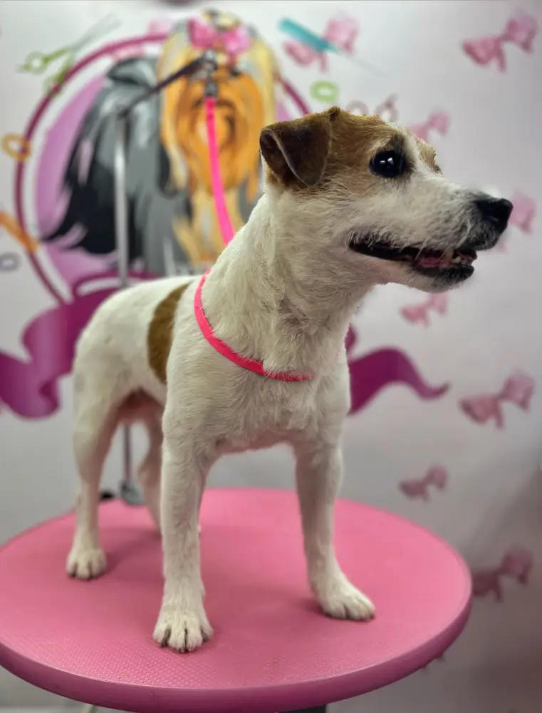 Betty photo 113