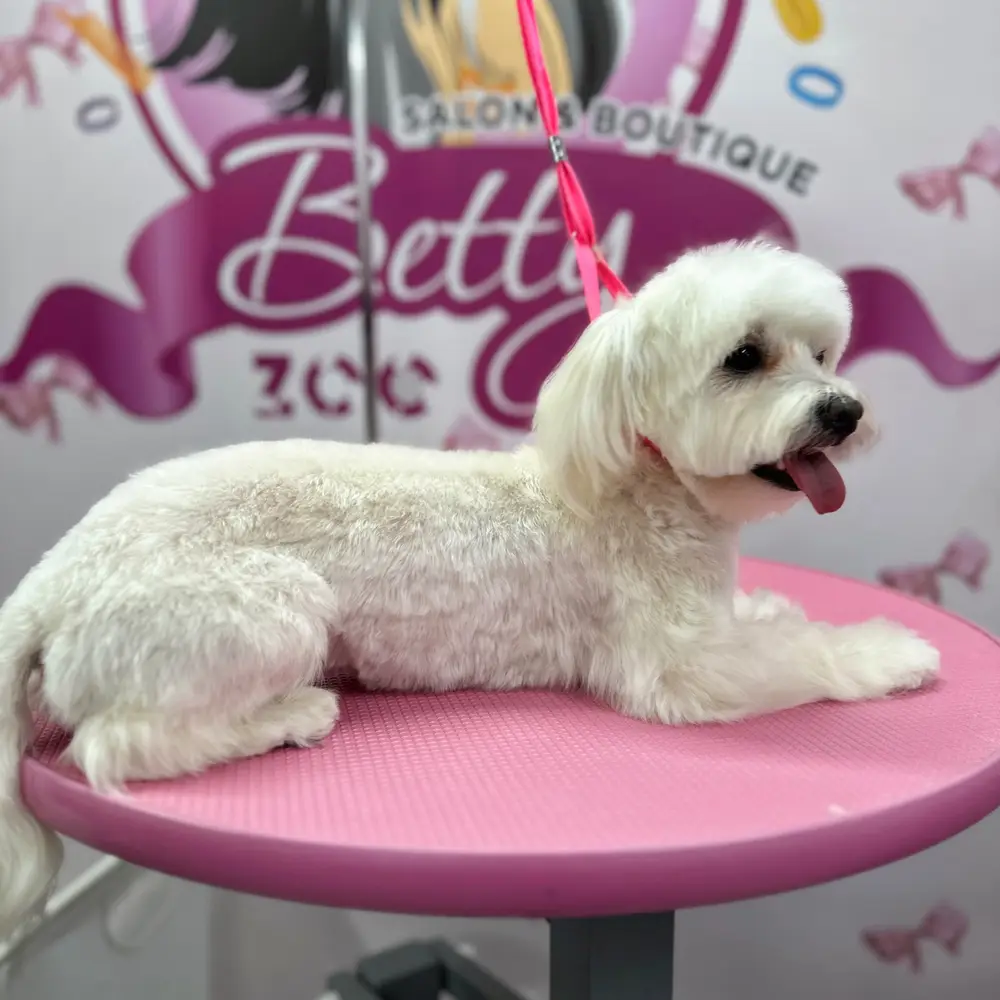 Betty photo 117