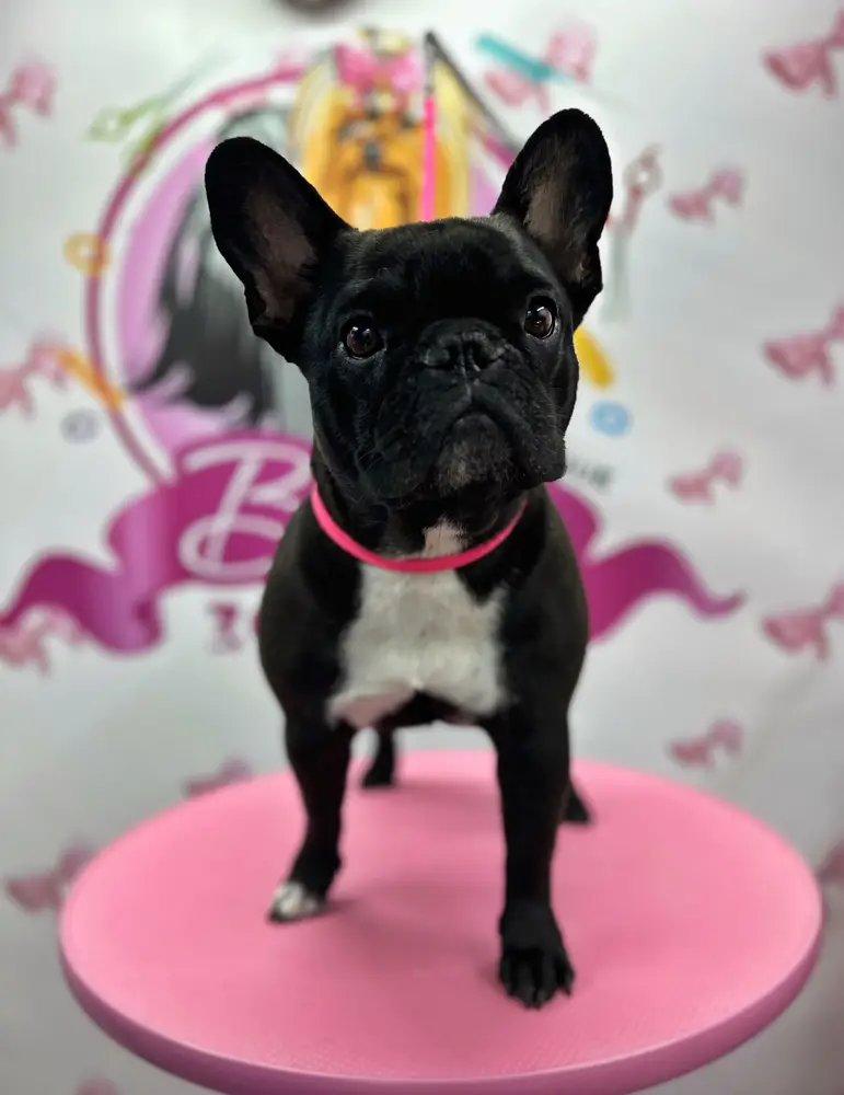 Betty photo 118