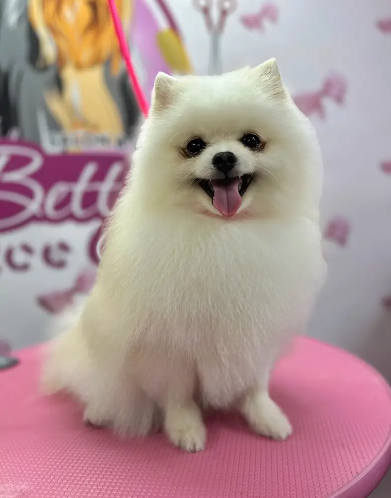 Betty photo 119