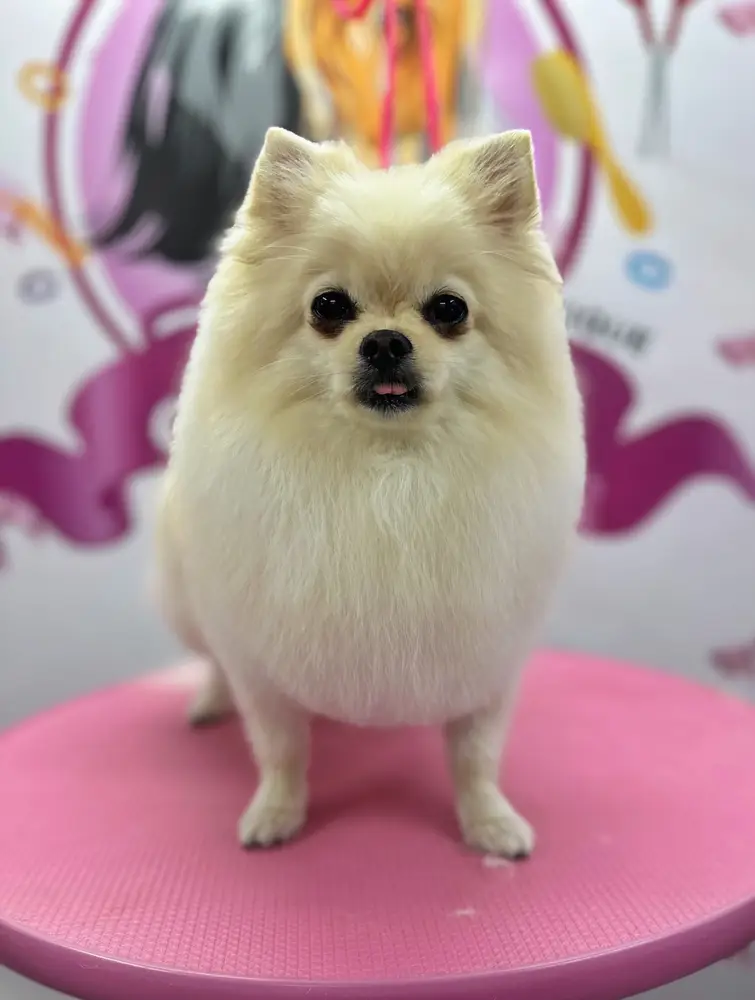 Betty photo 120