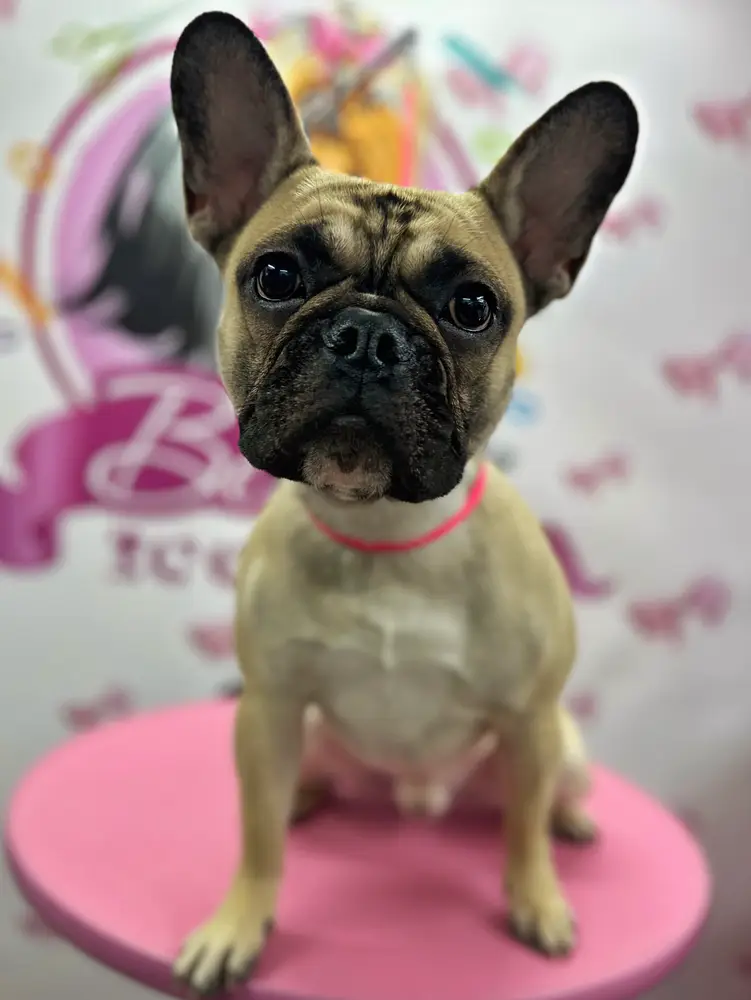 Betty photo 122