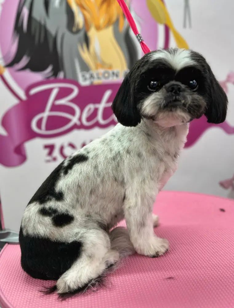 Betty photo 127