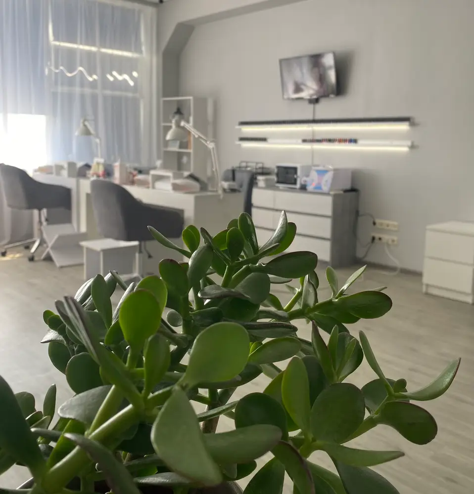 beauty_studio_solomenka photo 1