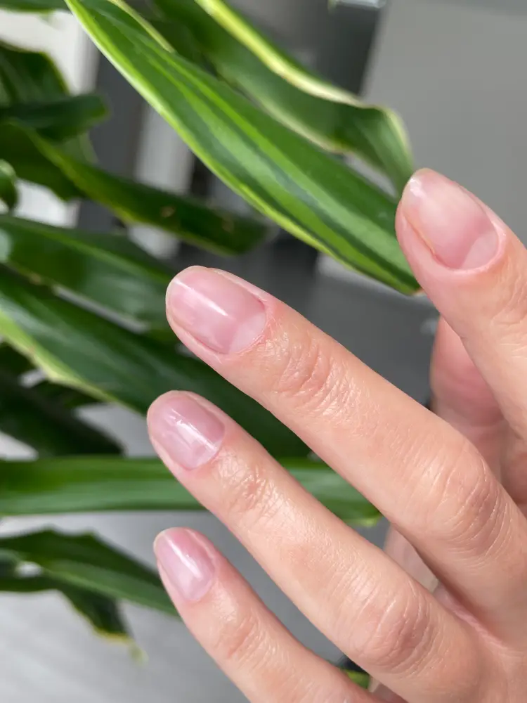 Nailmaster_anosova photo 10