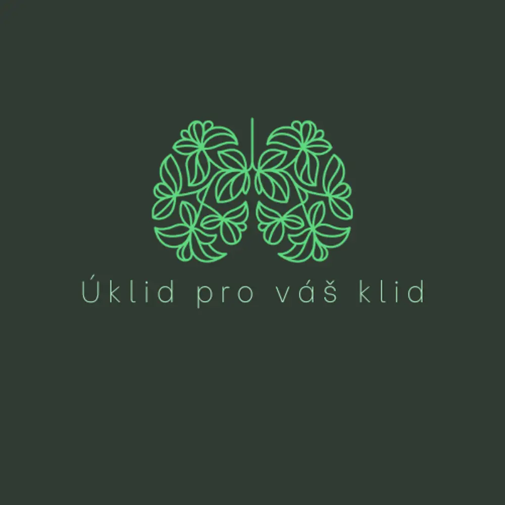 Uklid pro váš klid photo 1