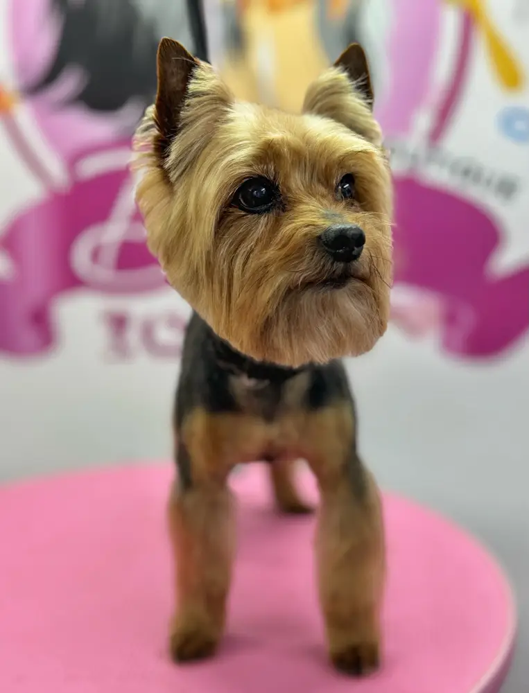 Betty photo 162