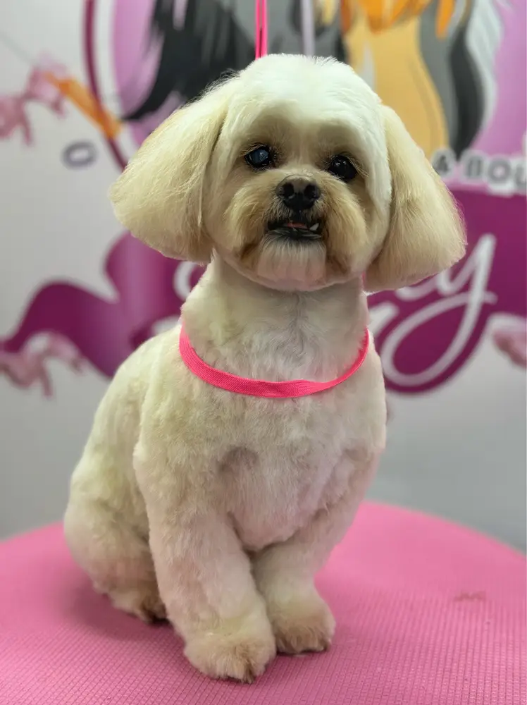Betty photo 163
