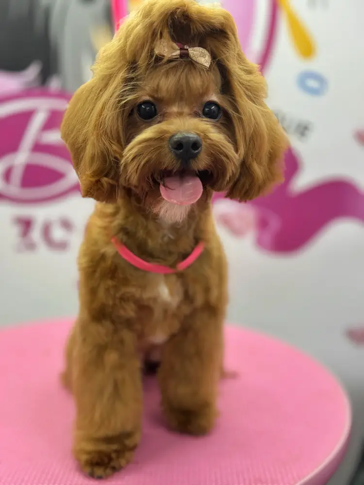 Betty photo 167