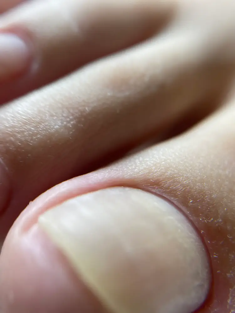 nailstudio.li photo 10