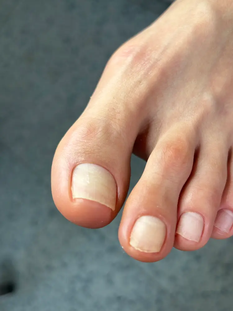 nailstudio.li photo 22