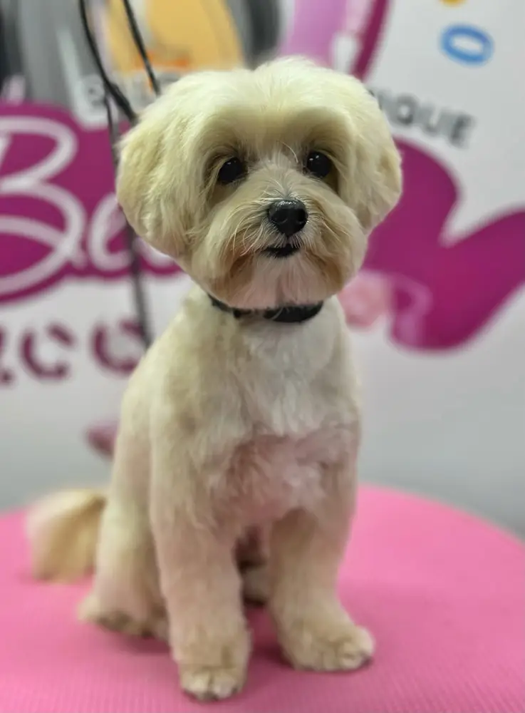 Betty photo 169