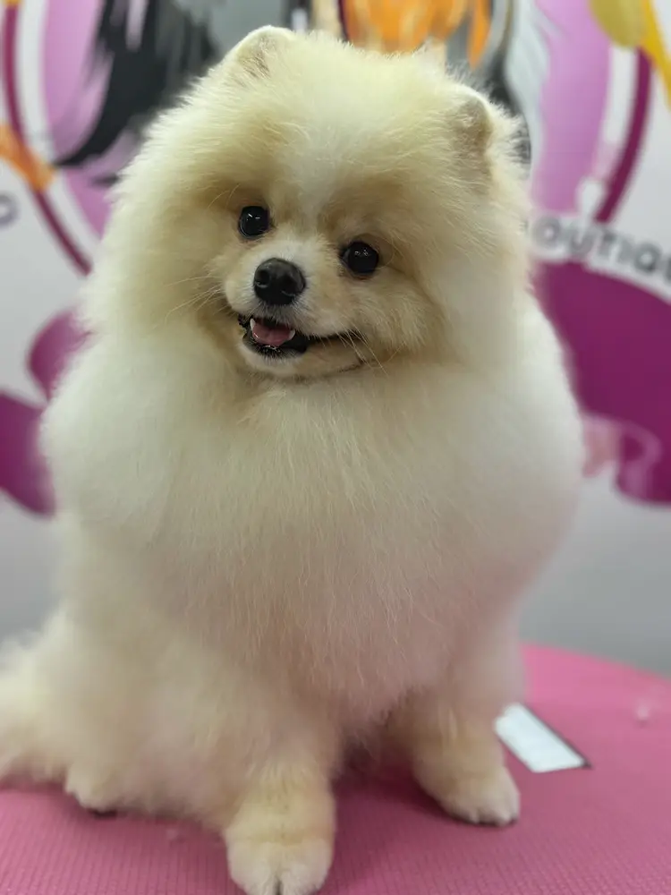 Betty photo 170