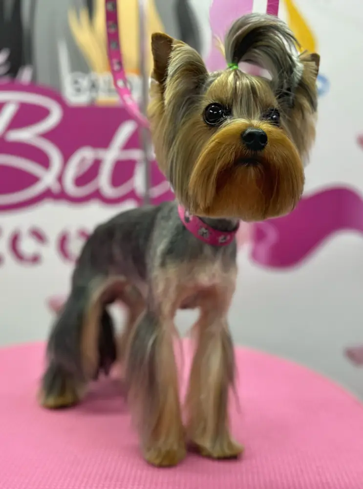 Betty photo 185