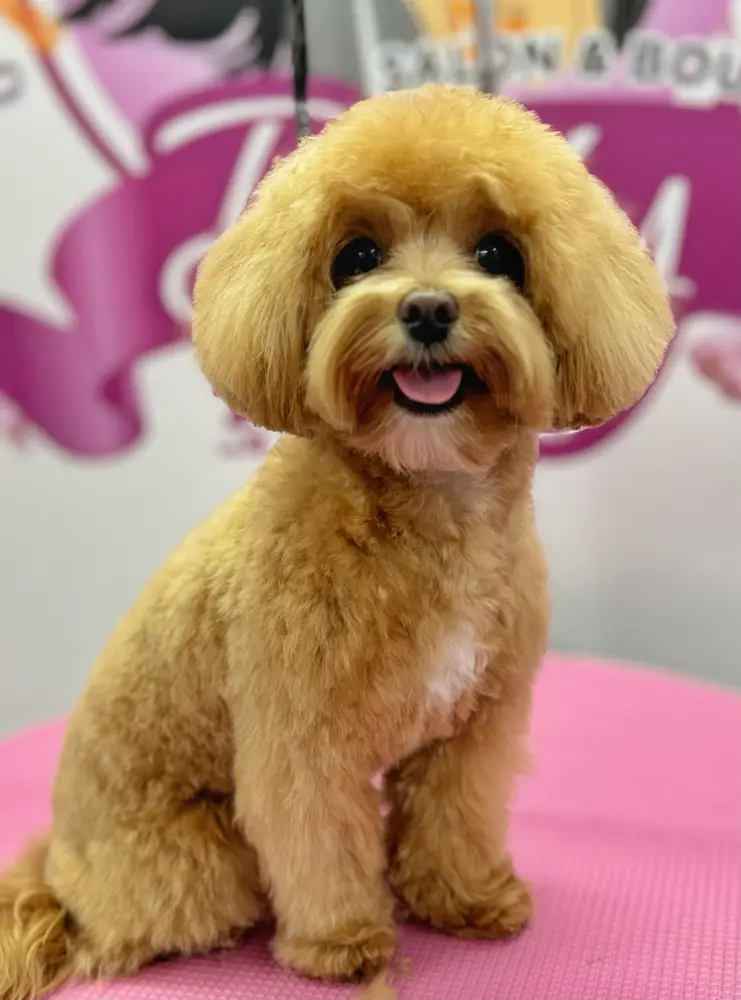 Betty photo 177