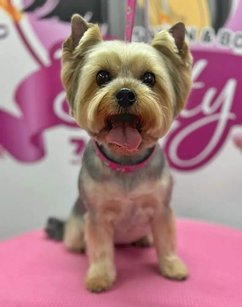 Betty photo 178