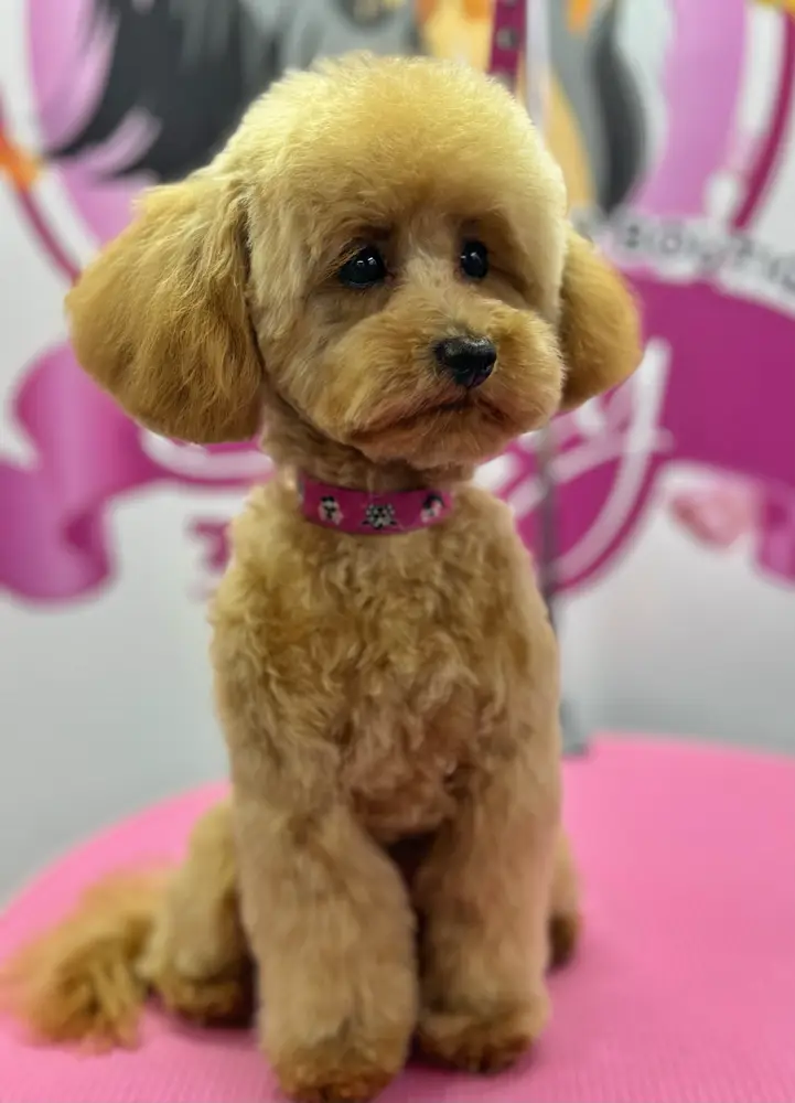 Betty photo 179