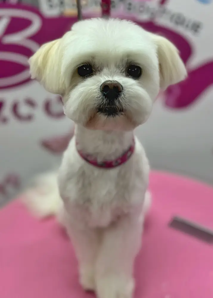 Betty photo 184