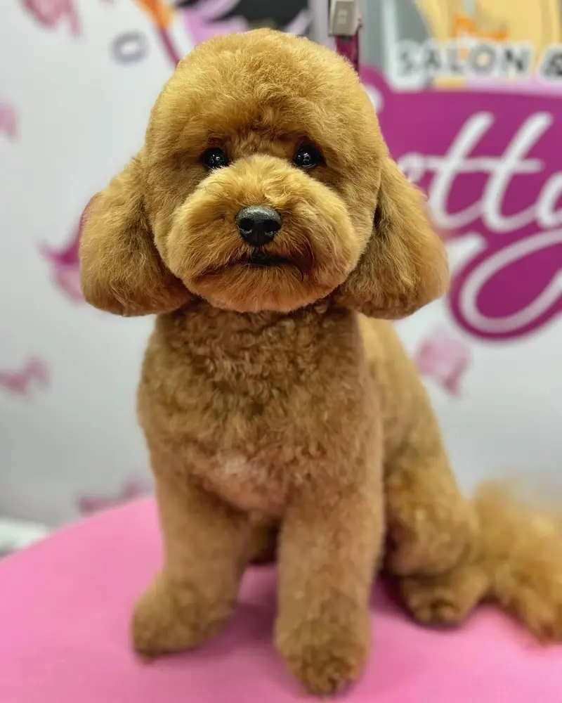 Betty photo 189