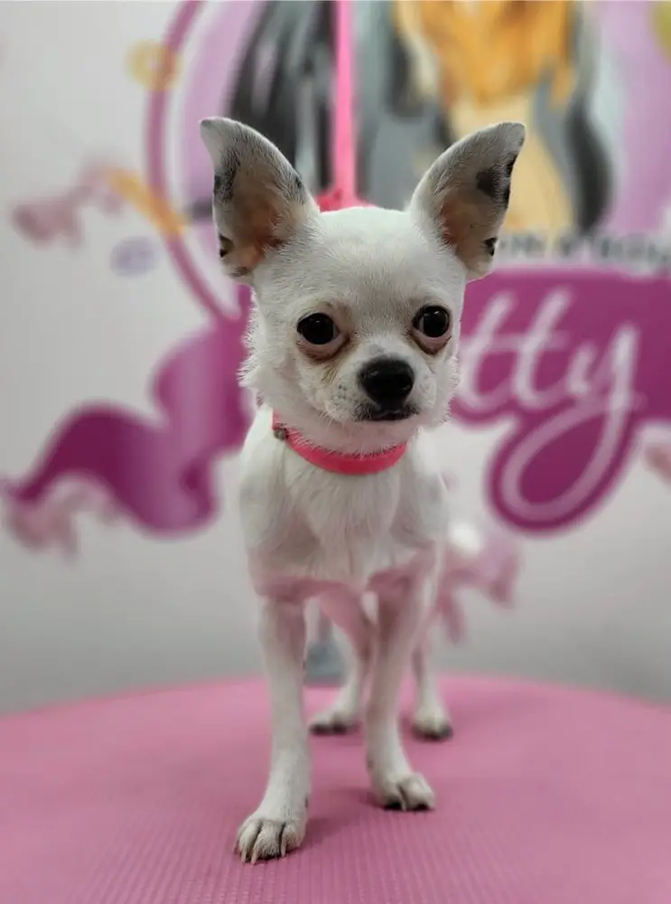 Betty photo 191